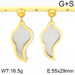 Stainless Steel Earrings  2E5000071vbll-618