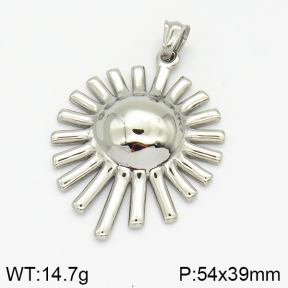 Stainless Steel Pendant  2P2000920vhha-226