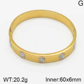 Stainless Steel Bangle  5BA400983vbnb-478
