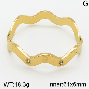 Stainless Steel Bangle  5BA400984vbnb-478