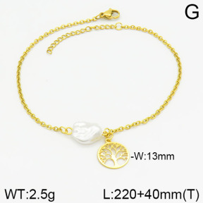 Stainless Steel Anklets  2A9000735ablb-610