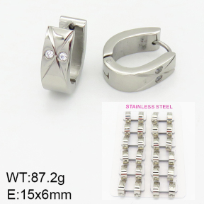 Stainless Steel Earrings  2E4001636amaa-387