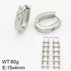 Stainless Steel Earrings  2E4001637alka-387