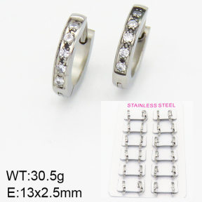 Stainless Steel Earrings  2E4001638bokb-387