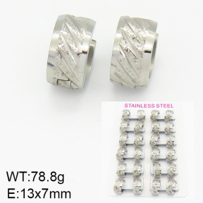 Stainless Steel Earrings  2E5000073akoa-387