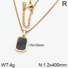 Stainless Steel Necklace  2N4001278vbnb-617