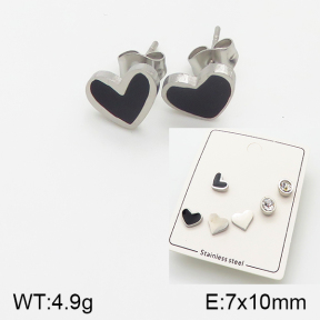 Stainless Steel Earrings  5E3000548baka-438