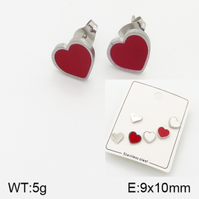 Stainless Steel Earrings  5E3000550ablb-438