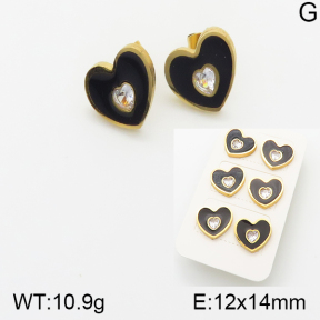 Stainless Steel Earrings  5E3000552bhia-438