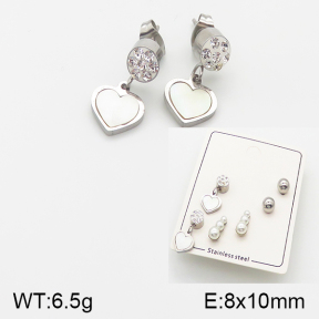 Stainless Steel Earrings  5E4001305vbmb-438