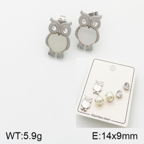 Stainless Steel Earrings  5E4001307ablb-438