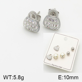 Stainless Steel Earrings  5E4001310baka-438
