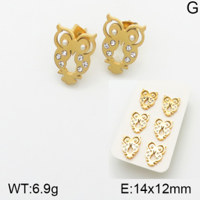 Stainless Steel Earrings  5E4001315bhia-438