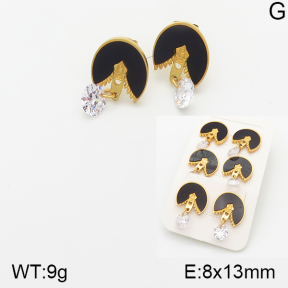 Stainless Steel Earrings  5E4001341bhia-438