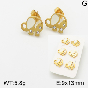 Stainless Steel Earrings  5E4001342bhia-438