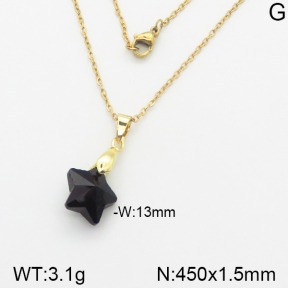 Stainless Steel Necklace  5N4000963vbll-748