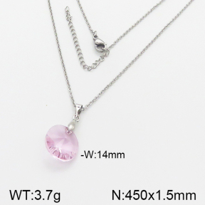 Stainless Steel Necklace  5N4000984vbll-748