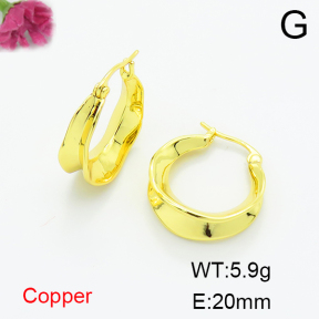 Fashion Copper Earrings  F6E200233vbnb-L017