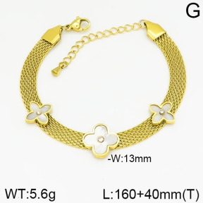 Stainless Steel Bracelet  2B4001950bhva-669
