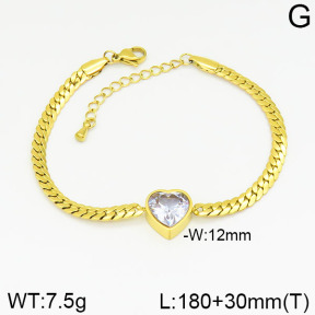 Stainless Steel Bracelet  2B4001953abol-669