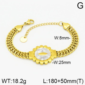 Stainless Steel Bracelet  2B4002015ahjb-662