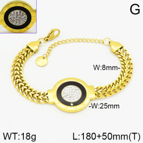 Stainless Steel Bracelet  2B4002019ahjb-662