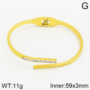 Stainless Steel Bangle  2BA400691vhll-669
