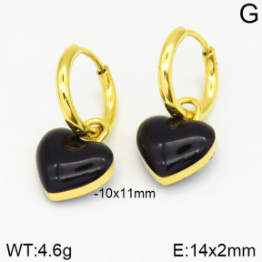 Stainless Steel Earrings  2E3000992bhia-669