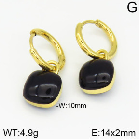 Stainless Steel Earrings  2E3000993bhia-669
