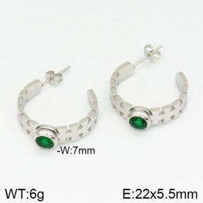 Stainless Steel Earrings  2E4001633bhia-669