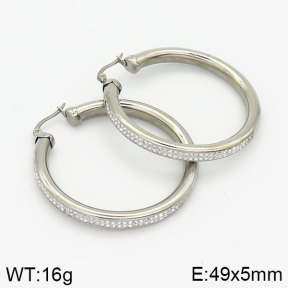 Stainless Steel Earrings  2E4001644vbnb-669