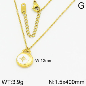 Stainless Steel Necklace  2N3000807bbov-669
