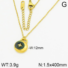 Stainless Steel Necklace  2N3000808bbov-669