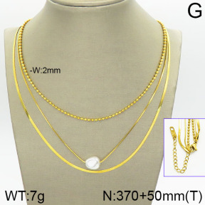 Stainless Steel Necklace  2N3001291vhhl-669