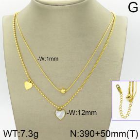 Stainless Steel Necklace  2N4001260vhhl-669