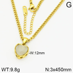 Stainless Steel Necklace  2N4001283bhva-669