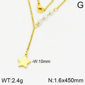 Stainless Steel Necklace  2N3000822aakl-704