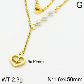 Stainless Steel Necklace  2N3000823aakl-704