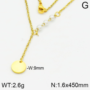 Stainless Steel Necklace  2N3000824aakl-704