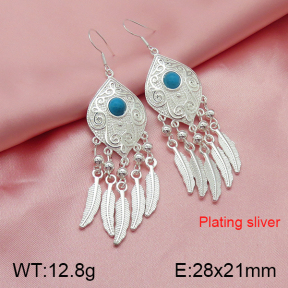Stainless Steel Earrings  5E4001345bbov-256