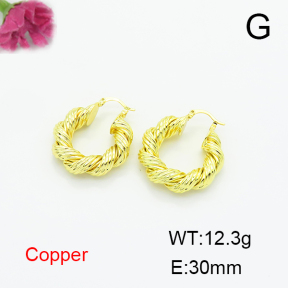 Fashion Copper Earrings  F6E200235vbnb-L017