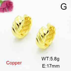 Fashion Copper Earrings  F6E200240baka-L017