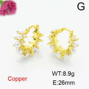 Fashion Copper Earrings  F6E404361bhia-L017