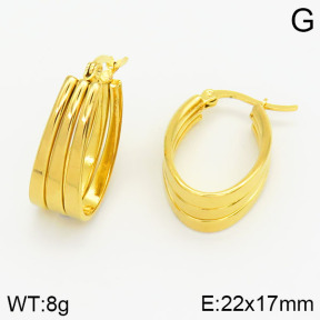 Stainless Steel Earrings  2E2001265baka-478