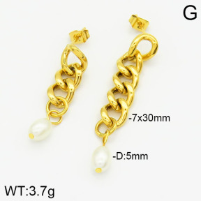 Stainless Steel Earrings  2E3000997baka-478