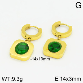 Stainless Steel Earrings  2E4001651vbmb-478