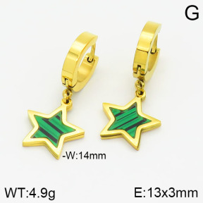 Stainless Steel Earrings  2E4001654vbmb-478