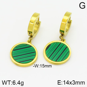 Stainless Steel Earrings  2E4001656vbmb-478