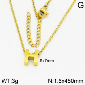 Stainless Steel Necklace  2N2001970vbll-690