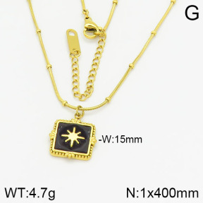 Stainless Steel Necklace  2N3000828vhha-478